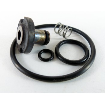 Whirlaway inlet valve and seals kit